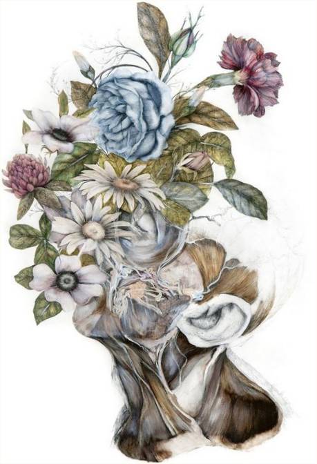 Mimesis: Nunzio Paci'nin çiçekli çerçeve içinde yeni anatomik resimleri