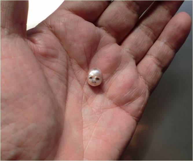 Giyilebilir heykeller: Shinji Nakaba'nın yeni koleksiyonundan minyatür kafatasları